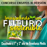 Concurso Ensayos